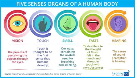 meaning sense figgerits|Sense Definition & Meaning .